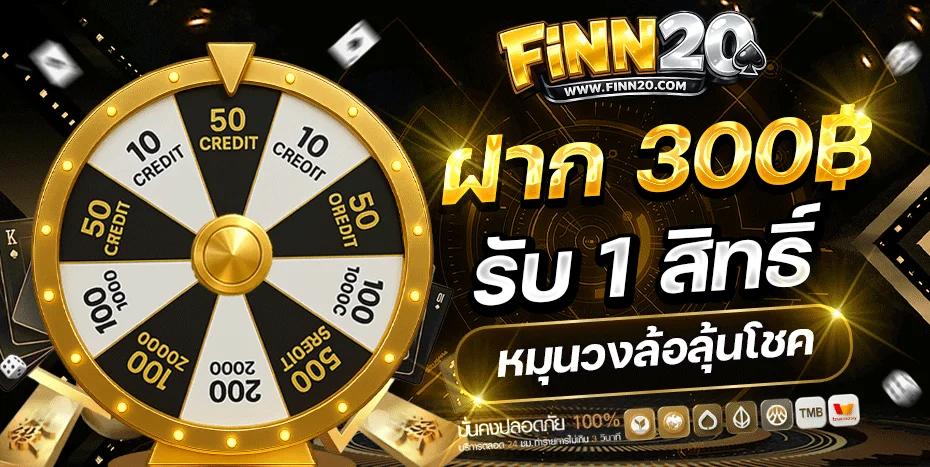FINN20